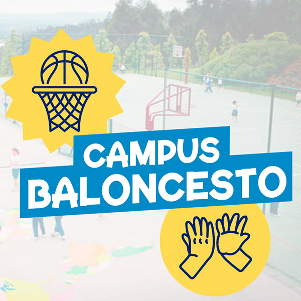 campamento baloncesto